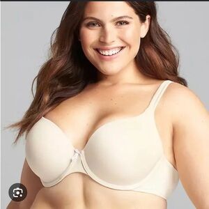 Cacique Cotton Lightly Lined T-Shirt Bra, 38DD